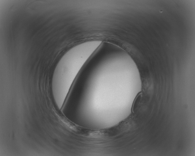 X0000081490470200701121117