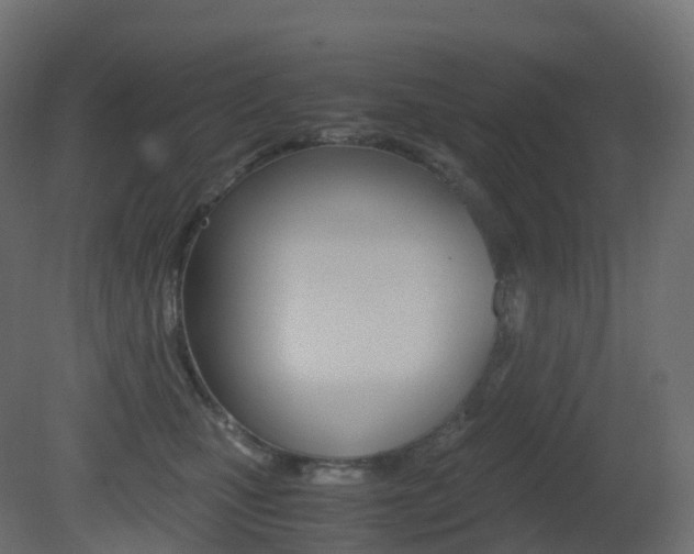 X0000081490471200701121117