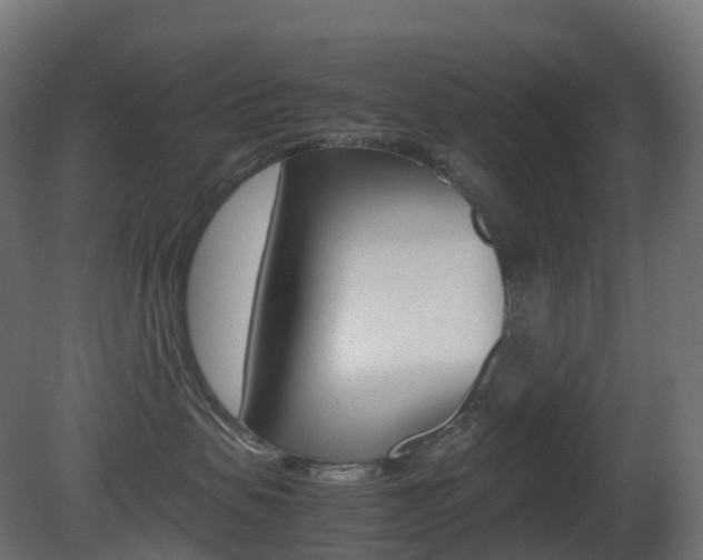 X0000081490479200701121117
