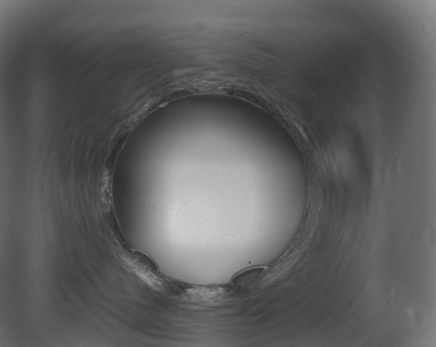 X0000081490480200701121117