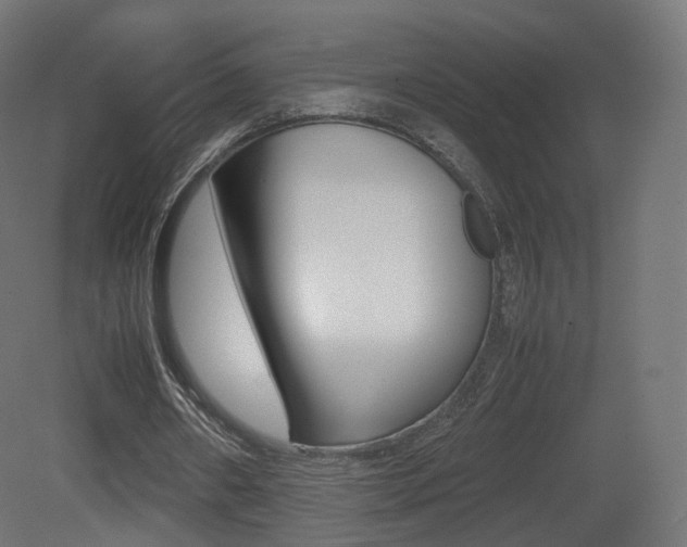 X0000081490482200701121116
