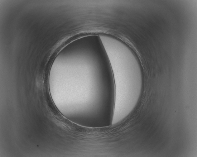 X0000081490483200701121116