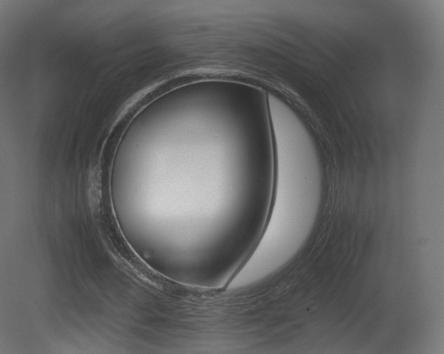 X0000081490484200701121116