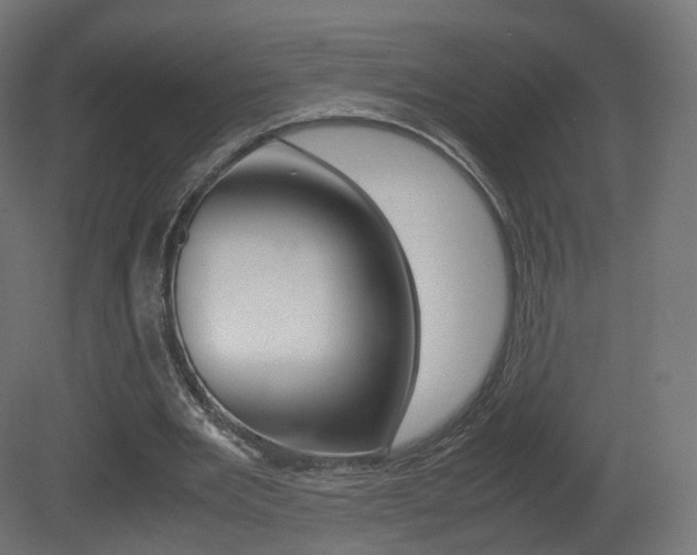 X0000081490485200701121116