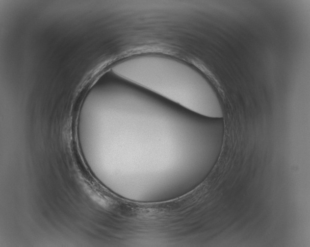 X0000081490486200701121116