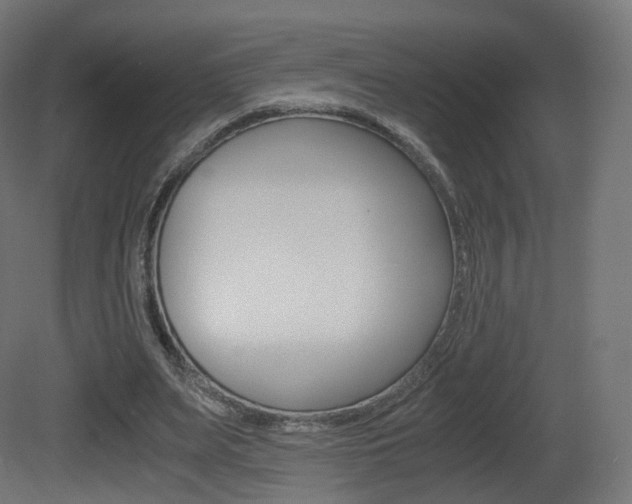 X0000081490487200701121116