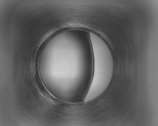 X0000081490488200701121116