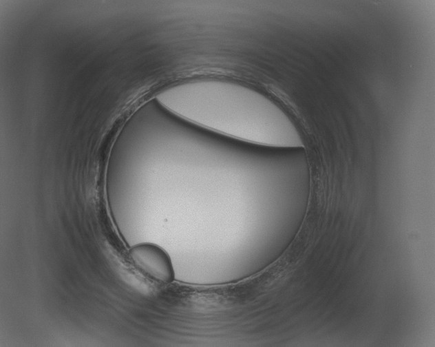 X0000081490490200701121116