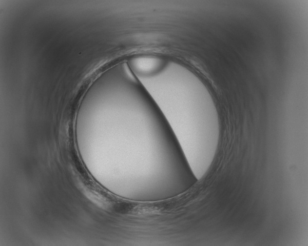 X0000081490491200701121116