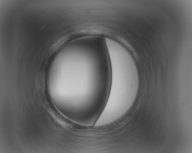 X0000081490493200701121116