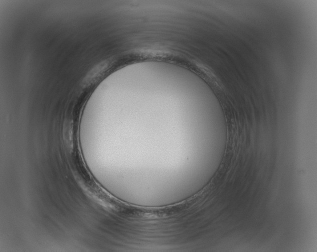 X0000081490494200701121116