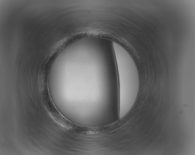 X0000081490496200701121116