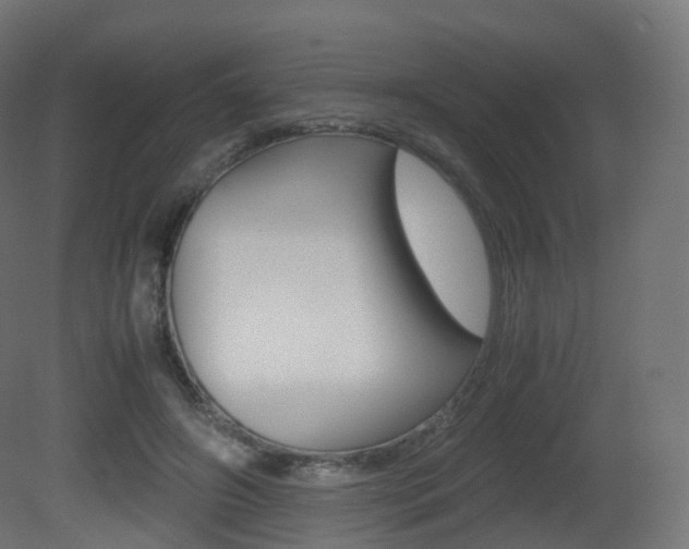 X0000081490498200701121116