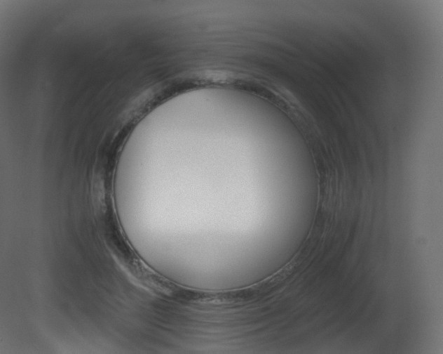 X0000081490500200701121116