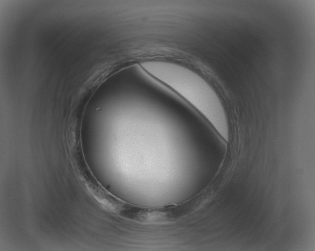 X0000081490501200701121116