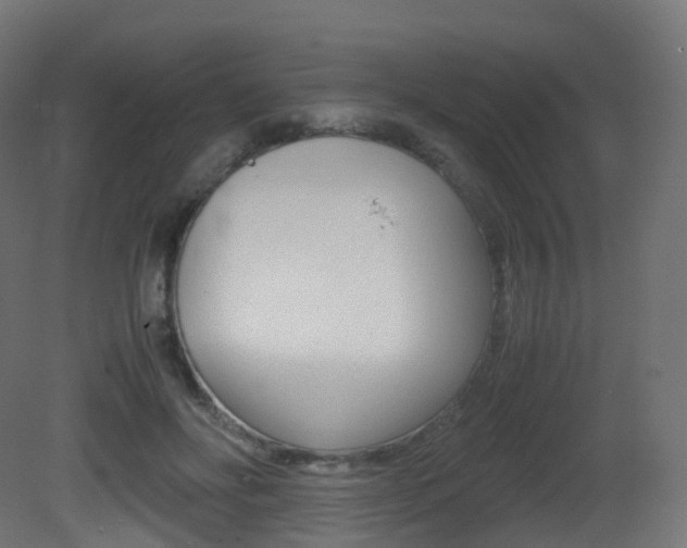 X0000081490502200701121116