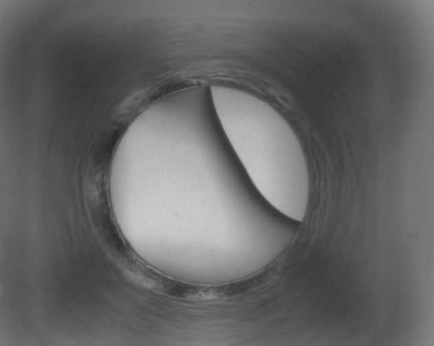 X0000081490503200701121116