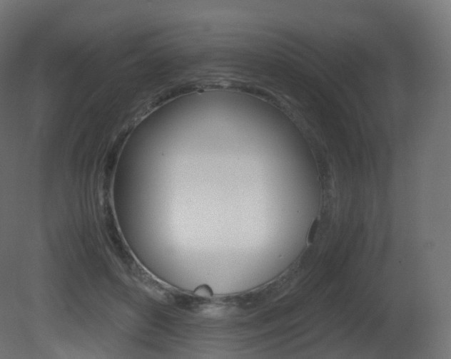 X0000081490504200701121116