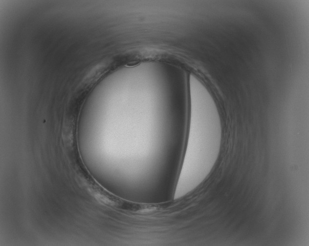 X0000081490505200701121116