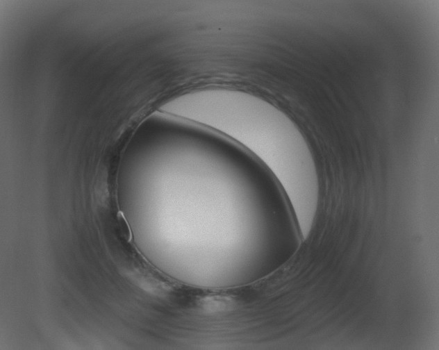 X0000081490508200701121116
