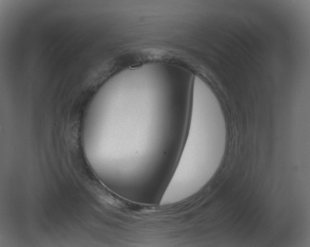 X0000081490509200701121116