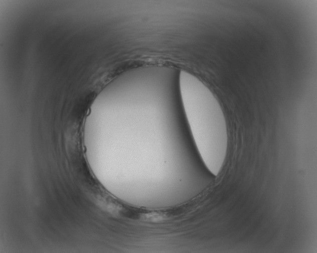 X0000081490511200701121116