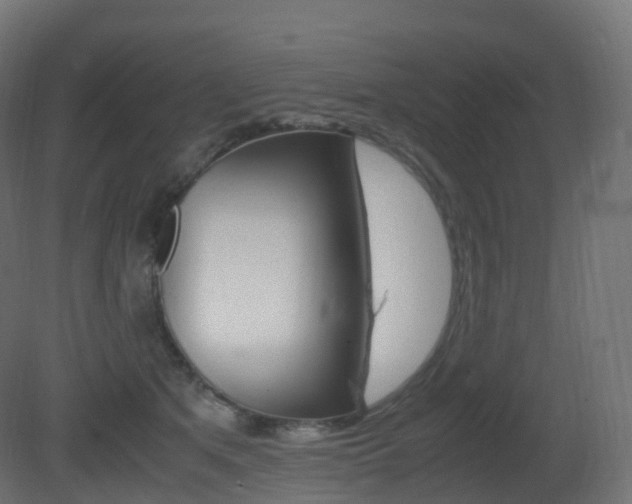 X0000081490513200701121116