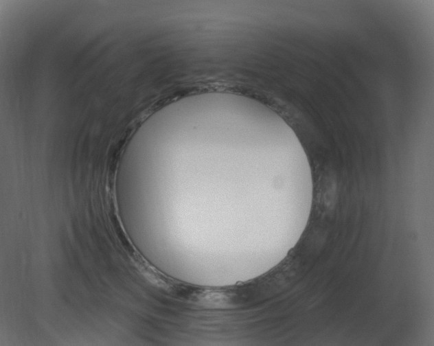 X0000081490518200701121115