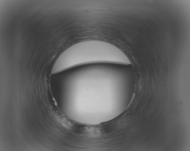X0000081490520200701121115