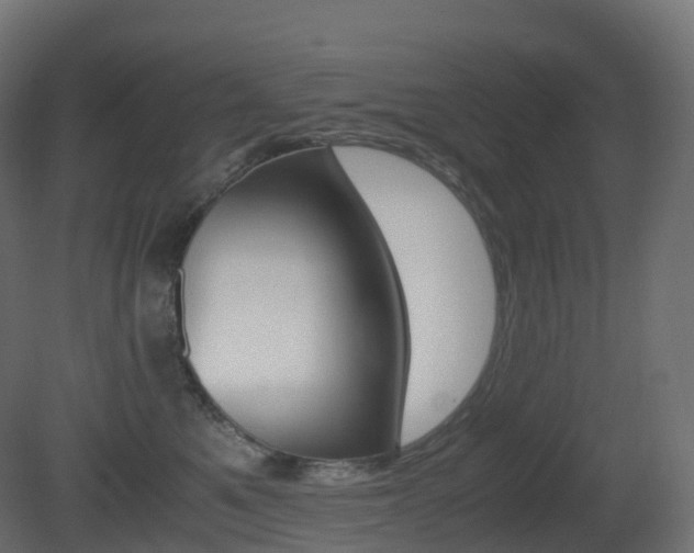 X0000081490521200701121115