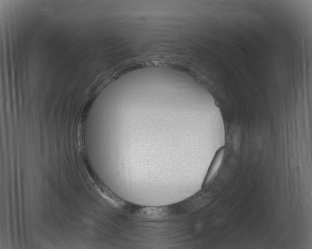 X0000081490526200701121115