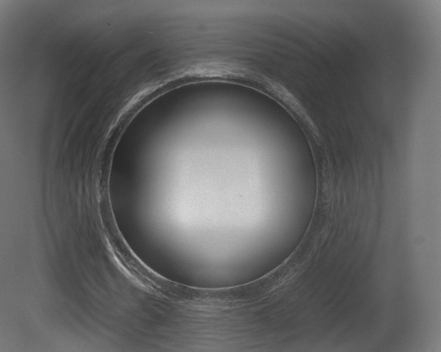 X0000081490530200701121115