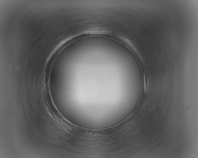 X0000081490531200701121115