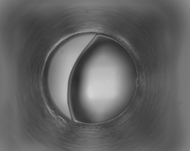 X0000081490532200701121115