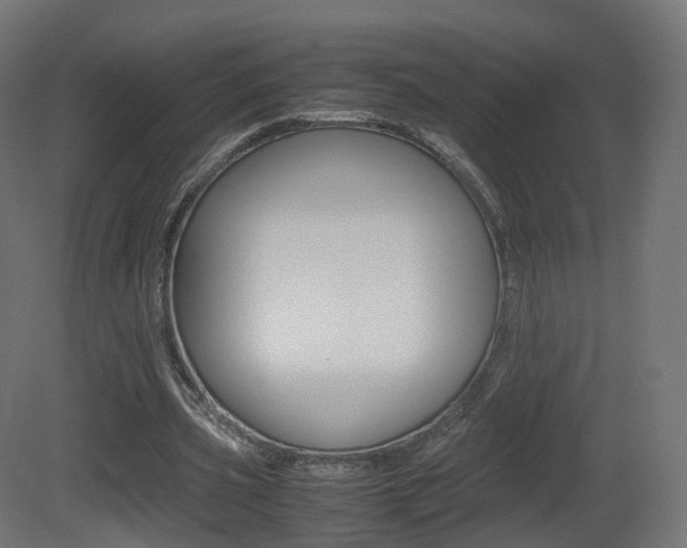 X0000081490533200701121115