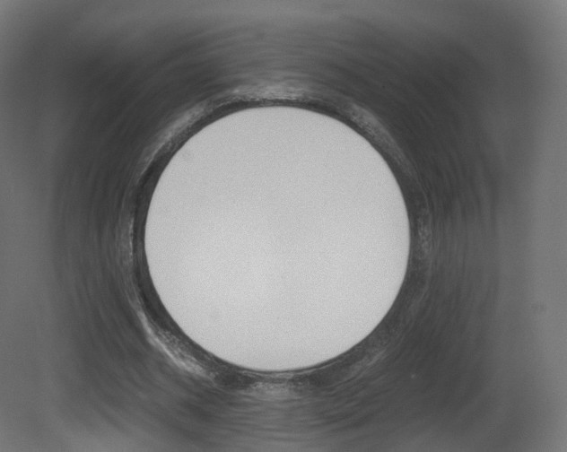 X0000081490534200701121115
