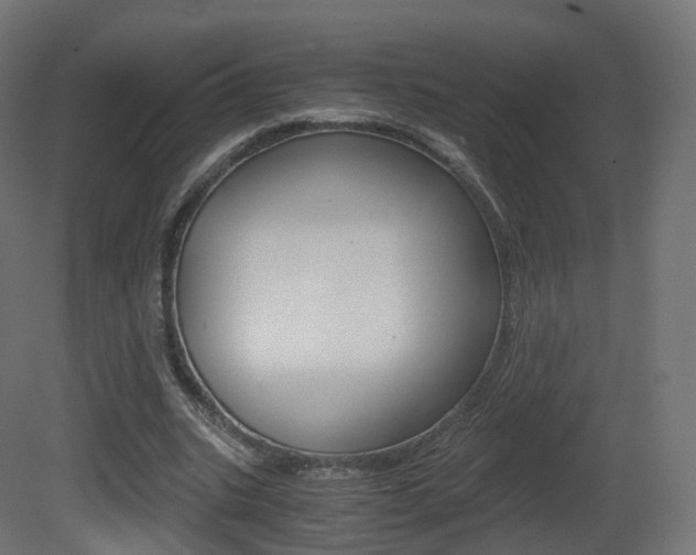 X0000081490535200701121115