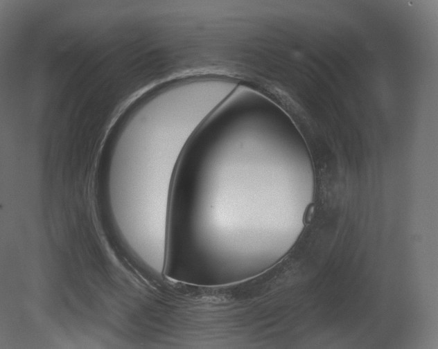 X0000081490536200701121115