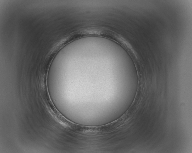 X0000081490537200701121115