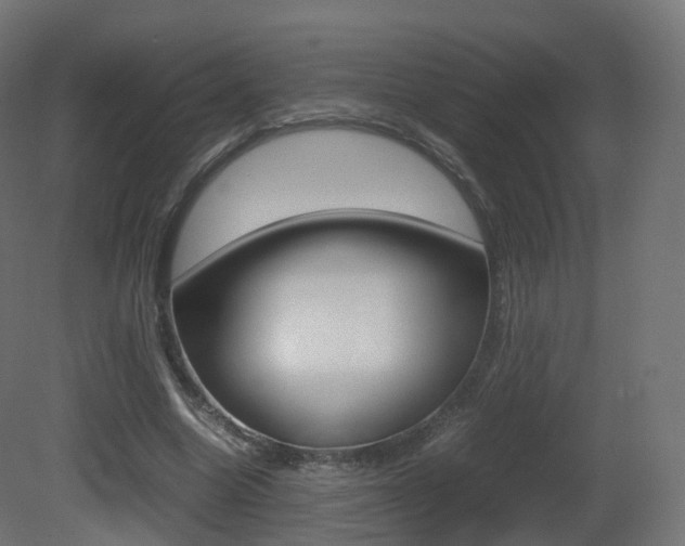 X0000081490538200701121115