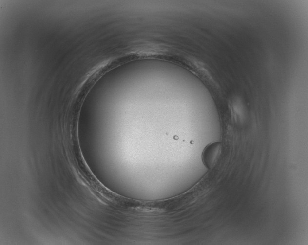 X0000081490539200701121115