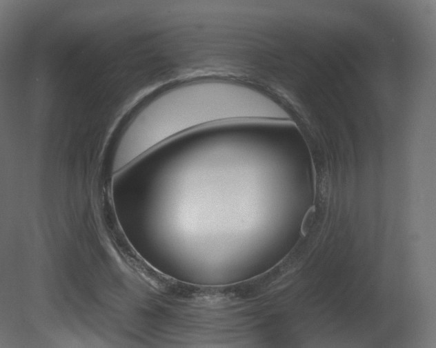 X0000081490540200701121115