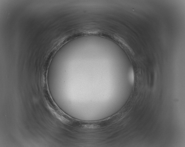 X0000081490541200701121115