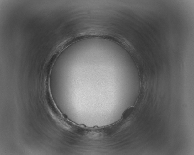 X0000081490542200701121115