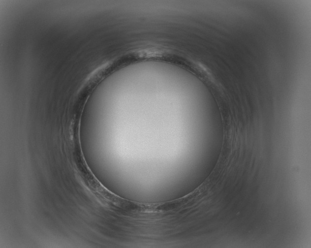 X0000081490543200701121115
