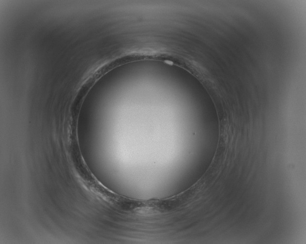 X0000081490544200701121115