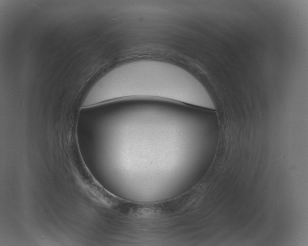 X0000081490546200701121115