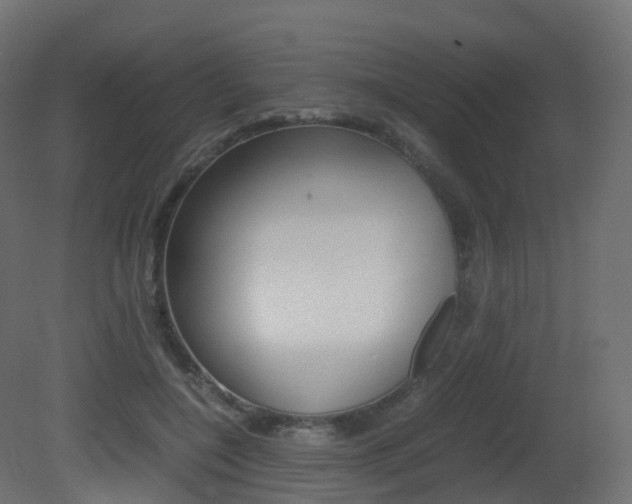 X0000081490548200701121115