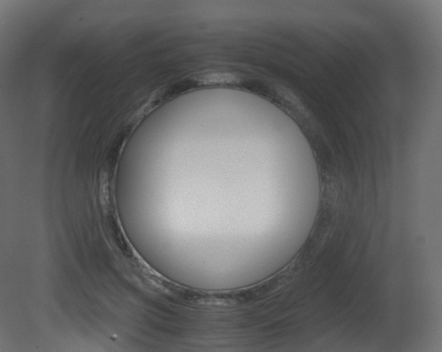 X0000081490549200701121115