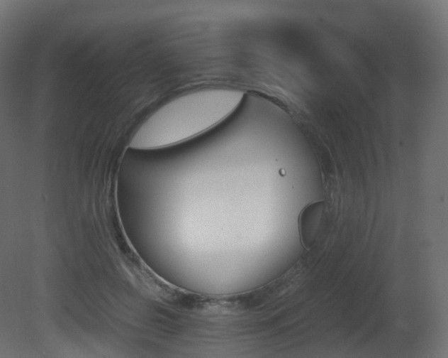 X0000081490550200701121115